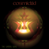 постер песни CosmicKid - The Wrong Song