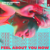 постер песни Sunlike Brothers - Feel About You Now