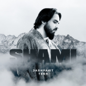 постер песни Shami - Забирают тебя