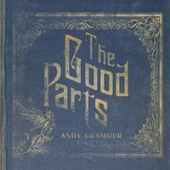 постер песни Andy Grammer - Good In Me