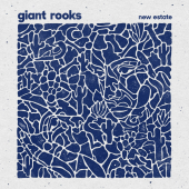 постер песни Giant Rooks - Bright Lies
