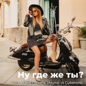 постер песни Оксана Почепа (Акула) - Ну где же ты