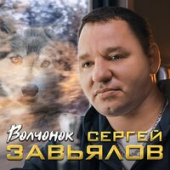 постер песни Сергей Завьялов - Волчонок