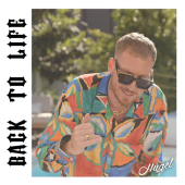 постер песни HUGEL - Back to Life