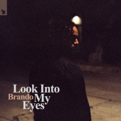 постер песни Brando - Look Into My Eyes (HUGEL &amp; Hugo Cantarra Remix)