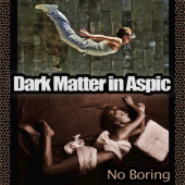 постер песни Dark Matter In Aspic - In the Long Run (African Chill Mix)