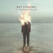 постер песни Roy Stroebel - I Wanna Know