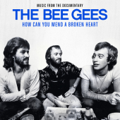 постер песни Dee Gees - Night Fever
