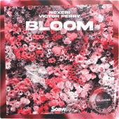 постер песни Nexeri - Bloom