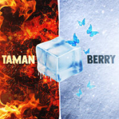 постер песни TAMAN, BERRY - Мальвина