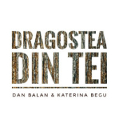 постер песни Dan Balan, Katerina Begu - Dragostea Din Tei