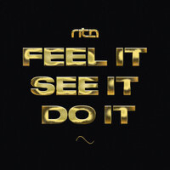 постер песни RITN - Feel It See It Do It