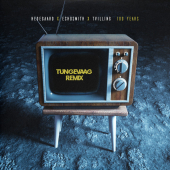 постер песни Echosmith - 100 Years Tungevaag Remix