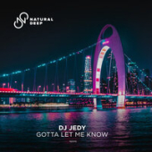 постер песни DJ Jedy - Gotta Let Me Know