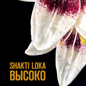 постер песни Shakti Loka - Высоко