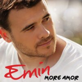 постер песни EMIN - Ментол