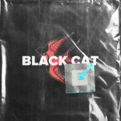 постер песни LeanJe - BLACK CAT
