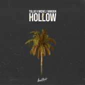 постер песни Tullio - Hollow