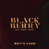 постер песни NEEL, KOREL, B3NZIN - BLACKBERRY (Goago Remix)