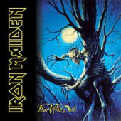 постер песни Iron Maiden - Wasting Love