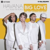 постер песни Ленинград - Big Love (DJ IVA Remix)