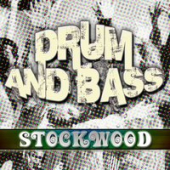 постер песни RADIO TAPOK - Radio (Rammstein Cover Vocal Guitar Drums Bass)