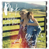 постер песни P!nk, Willow Sage Hart - Cover Me In Sunshine