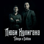 постер песни Taheyn feat. Evkhan - Люби Хулигана