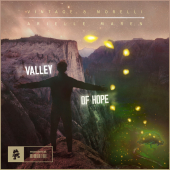 постер песни Vintage &amp; Morelli - Valley Of Hope