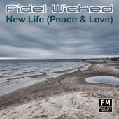 постер песни Fidel Wicked - New Life (Peace &amp; Love)