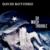 постер песни David Rotundo - The Sway