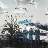 постер песни ВСИГМЕ - РОЗА