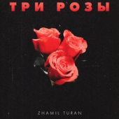 постер песни Zhamil Turan - Три Розы