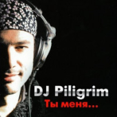постер песни DJ Piligrim - Я лето