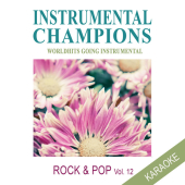 постер песни Instrumental Champions - Rolling in the Deep (Karaoke Version)