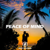 постер песни DJ Jedy - Peace Of Mind