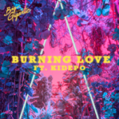 постер песни Big Gigantic feat. Kidepo - Burning Love