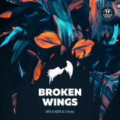 постер песни ARIA - Broken Wings