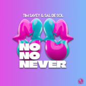 постер песни Tim Savey feat. Sal De Sol - No No Never