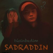постер песни Садраддин - Алия