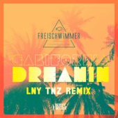 постер песни Freischwimmer - California Dreamin (LNY TNZ Remix)