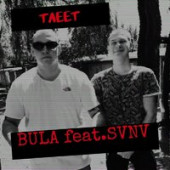 постер песни Bula, SVNV - Тлеет (Denis Bravo Remix)