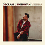 постер песни Declan J Donovan - Vienna