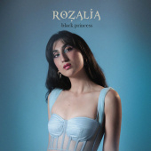 постер песни Rozalia, Kaguya - Пятно