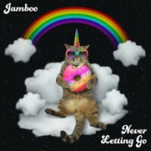постер песни Jamboo - Never Letting Go (Radio Mix)