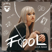 постер песни Roxen - Fool (Lucir Remix)