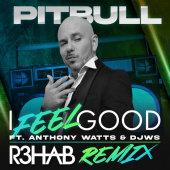 постер песни Pitbull - I Feel Good (R3HAB Remix)