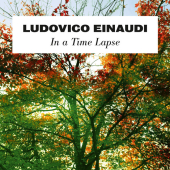 постер песни Ludovico Einaudi - Experience