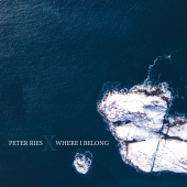 постер песни Peter Ries - Where I Belong