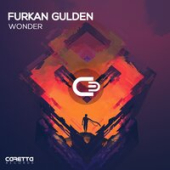 постер песни Furkan Gulden - Forget